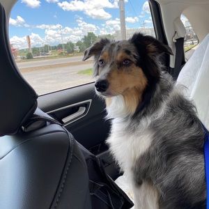 Meet your Posher, Carolyn